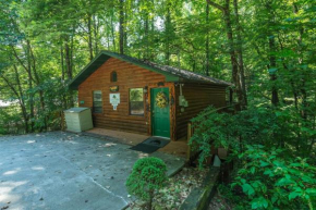 Beary Cozy Pigeon Forge